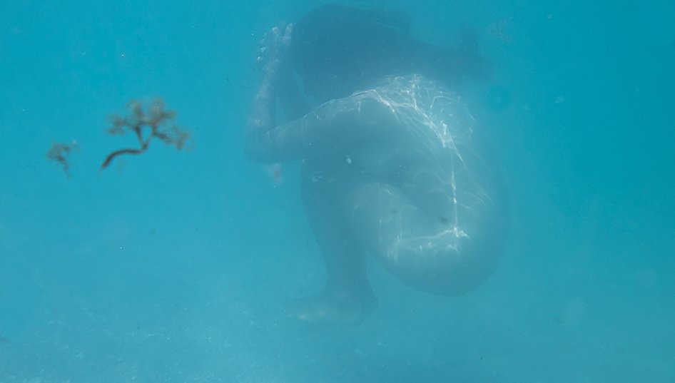 Reflections on Violence