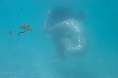 Überlegungen zu Gewalt